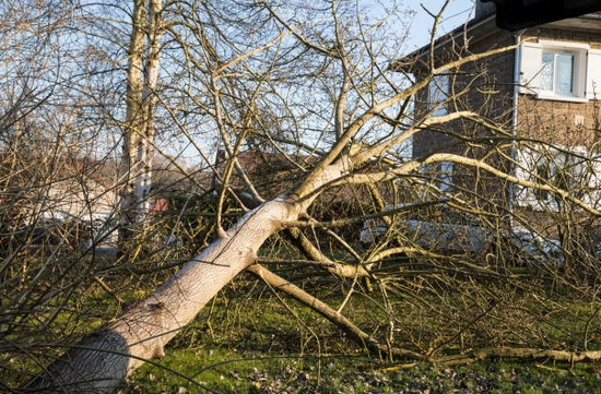 vent2019-5.jpg