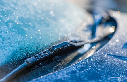gel08112019.jpg