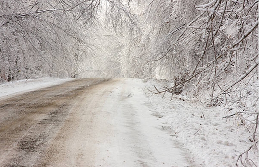 neige2019-19.jpg