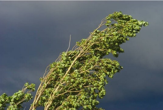 orage2019-6.jpg