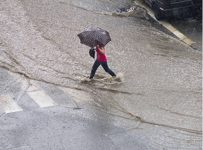 parapluie2019.jpg