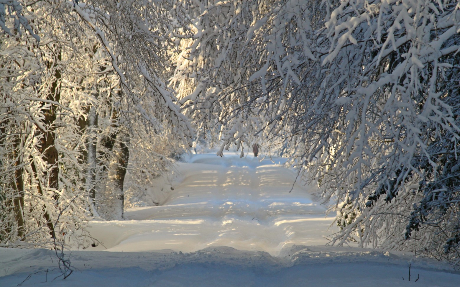 neige20012019.jpg
