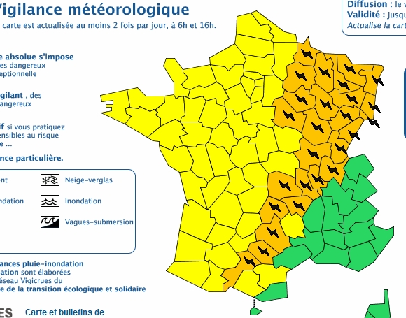 vigi09082019.jpg