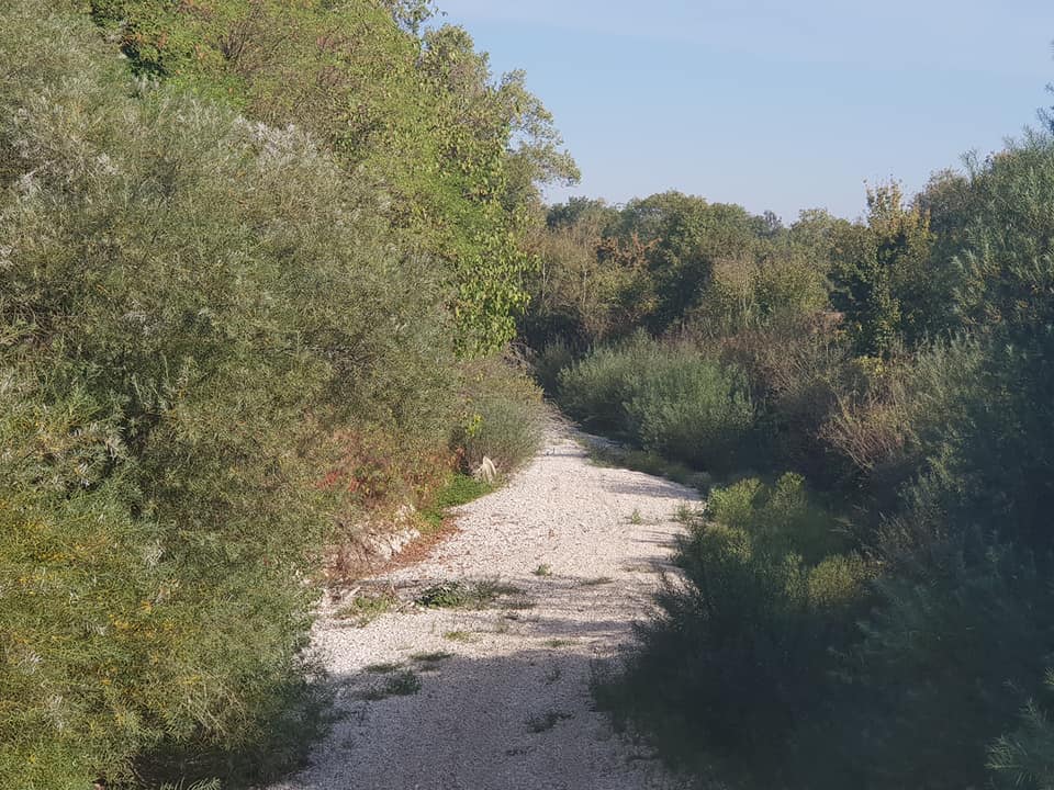 albarine12092020.jpg