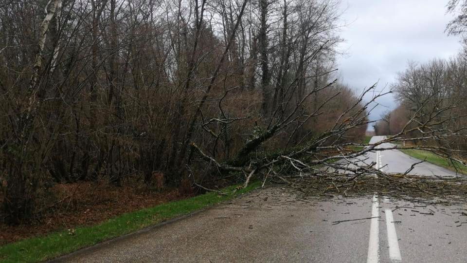 bugey25122020.jpg