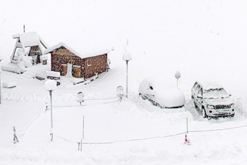 cuvery04122020.jpg