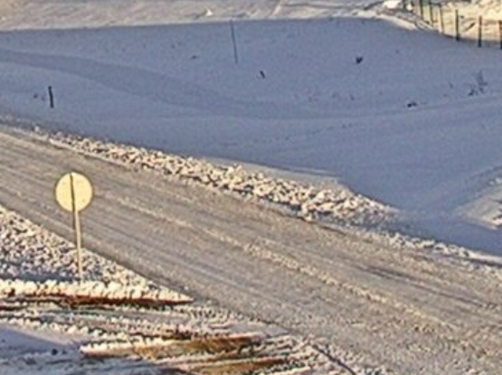 cuvery26122020.jpg