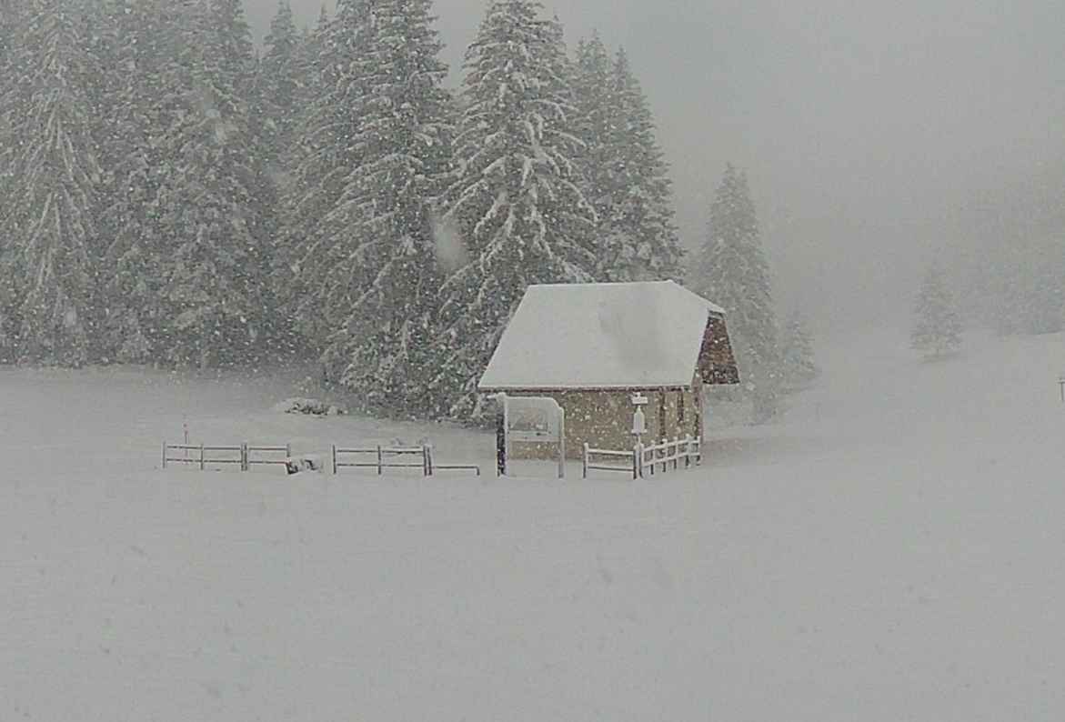 praille04122020.jpg
