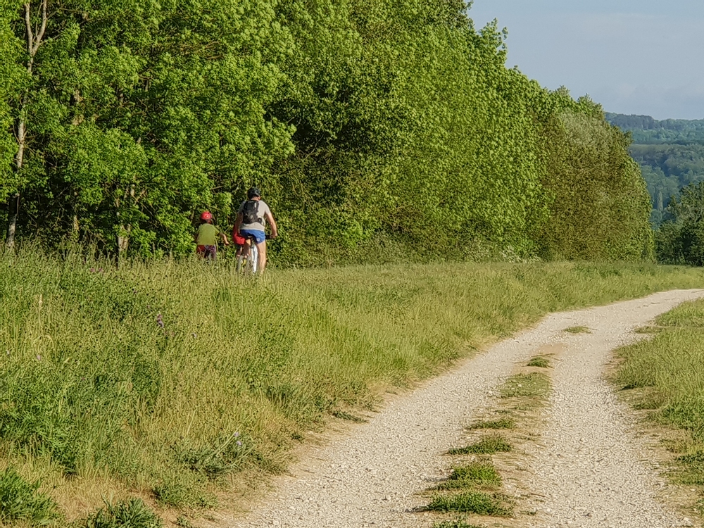 velo25042020.jpg