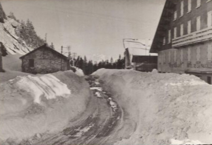 antan-faucille.jpg