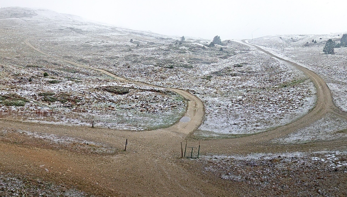catheline020112021.jpg