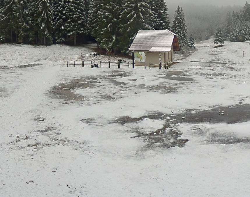 praille03112021.jpg