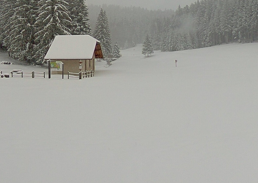 praille15032021.jpg