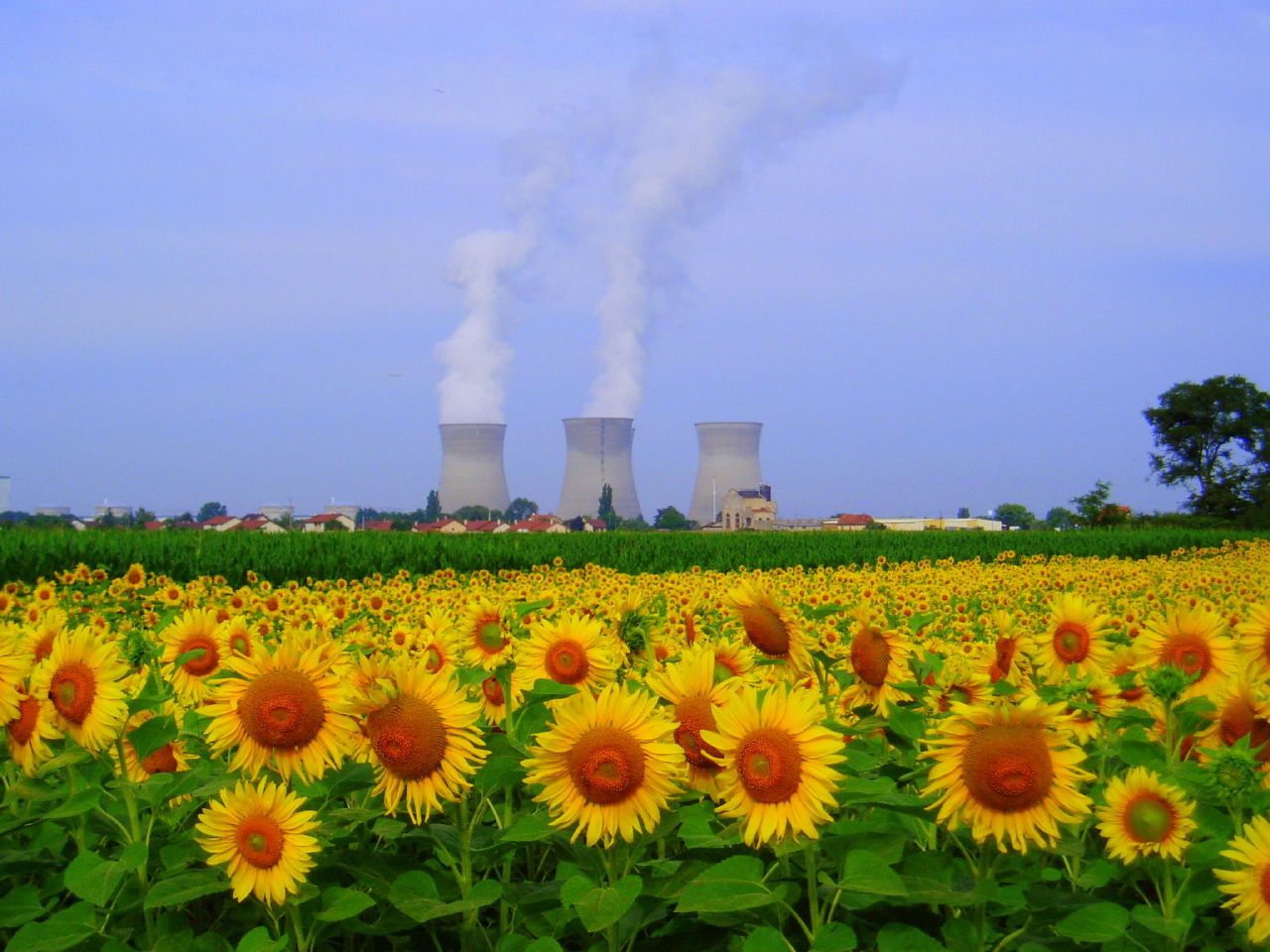 centrale.jpg