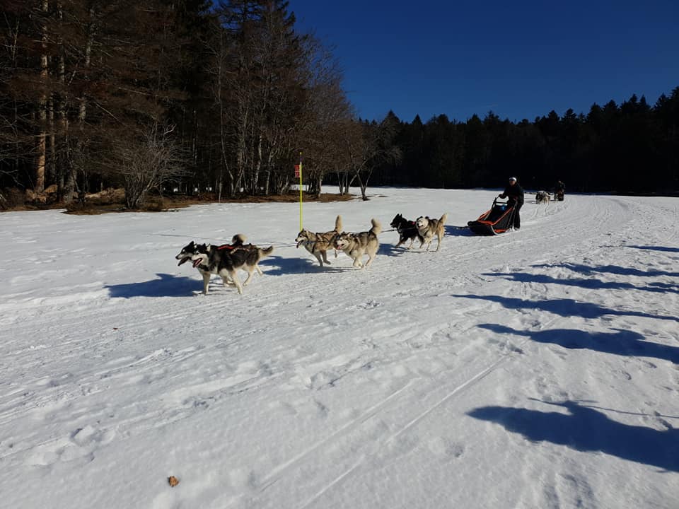 cuvery13022022.jpg