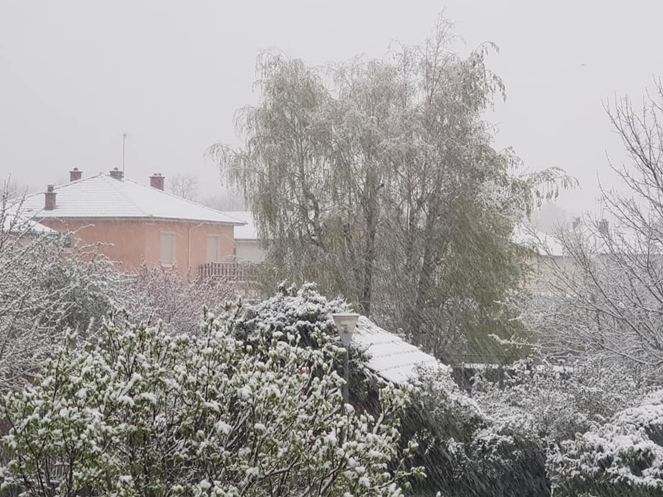 neige01042022-3.jpg