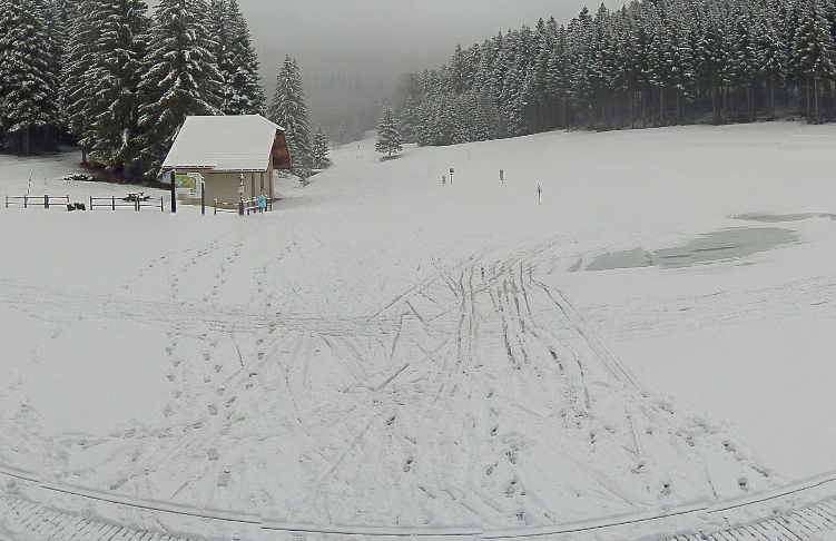 praille14022022.jpg