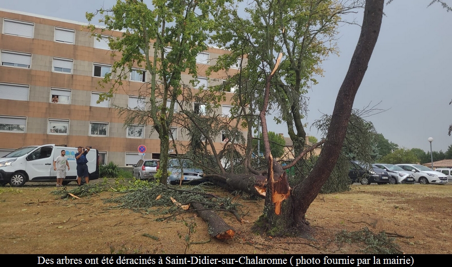 stdidier24082023.jpg