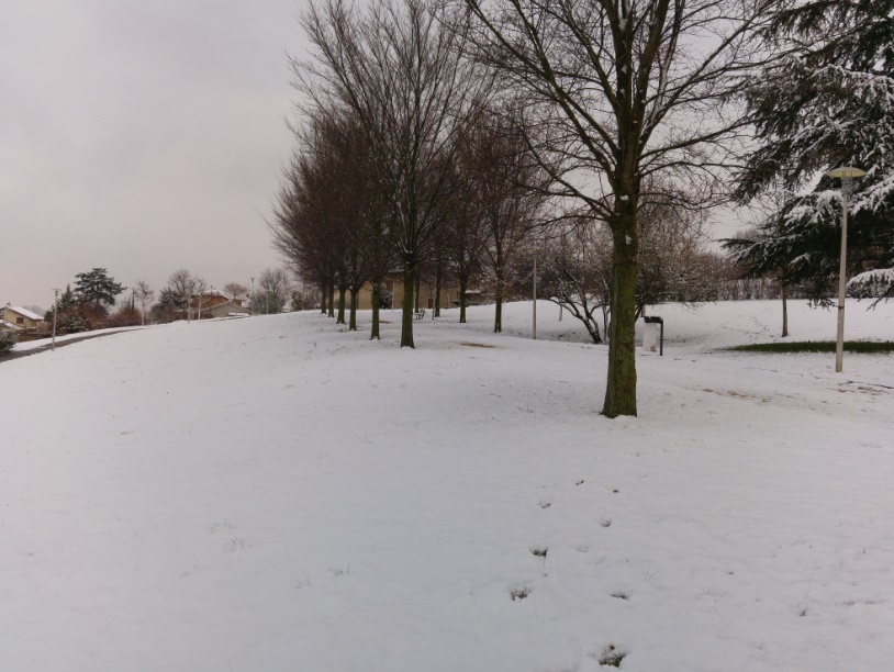 amberieu14022018-12.jpg