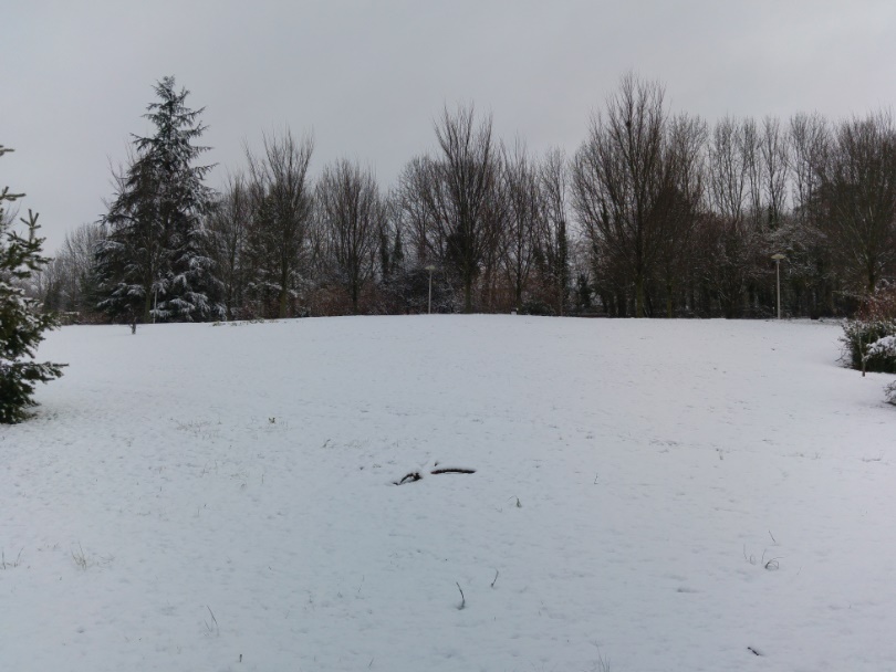 amberieu14022018-13.jpg