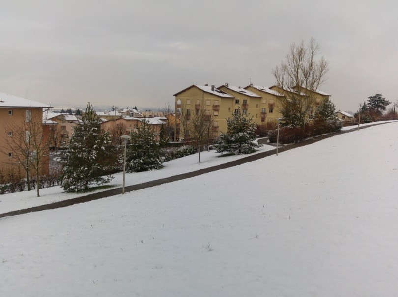 amberieu14022018-15.jpg