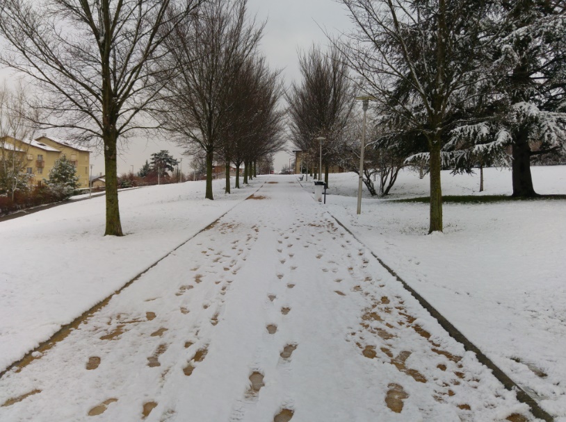 amberieu14022018-18.jpg