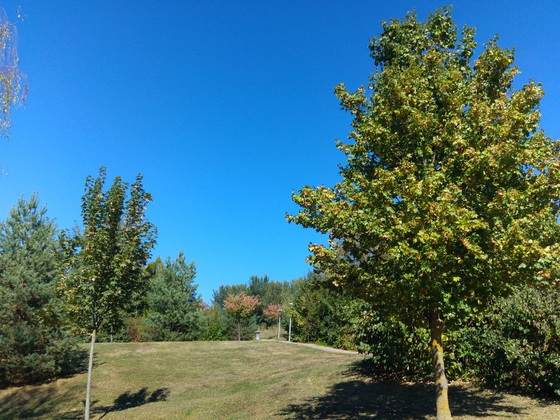 amberieu27092018.jpg