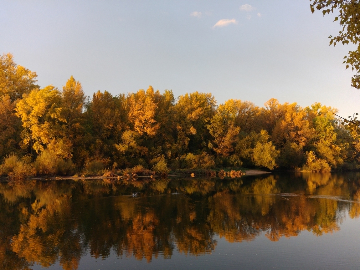 automne2018.jpg