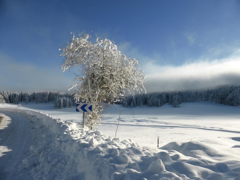 neige2013.jpg