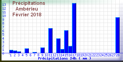 pluieamberieufevrier2018.png
