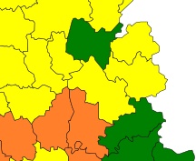 pollens03052017.jpg