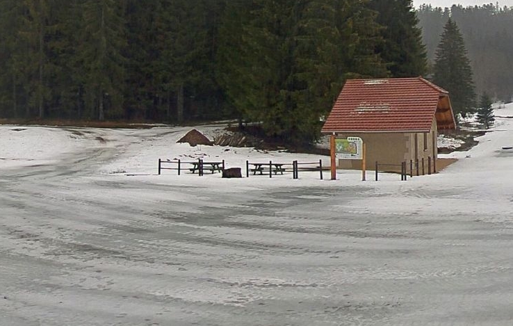 praille11122017.jpg