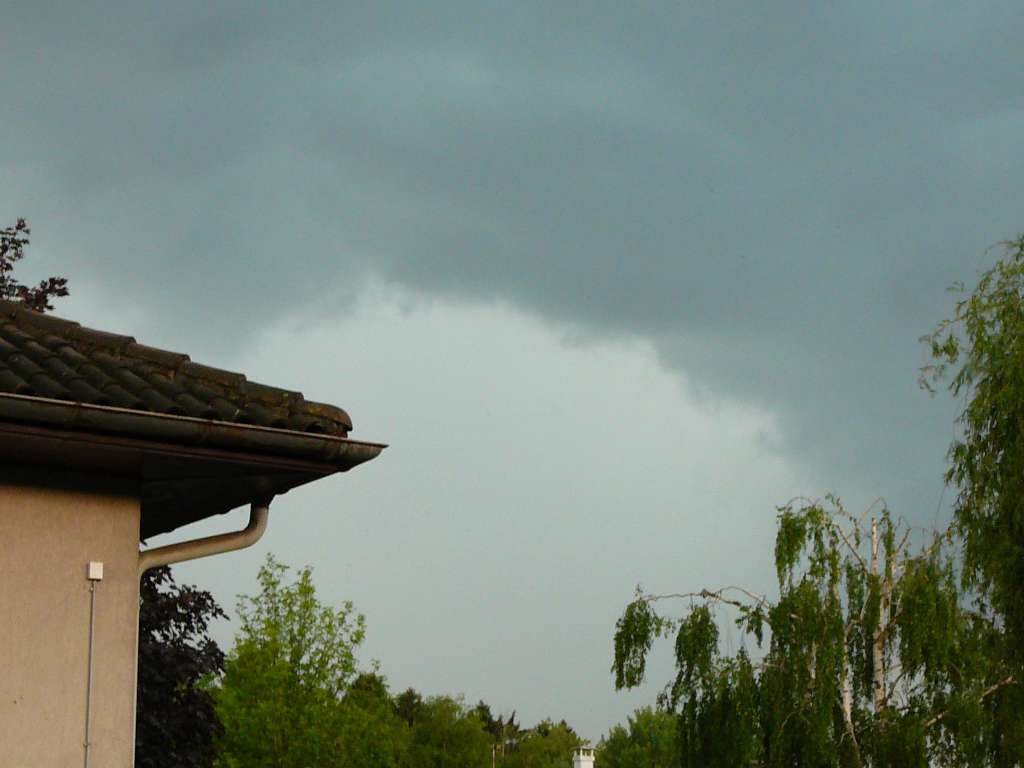 P1000417.JPG