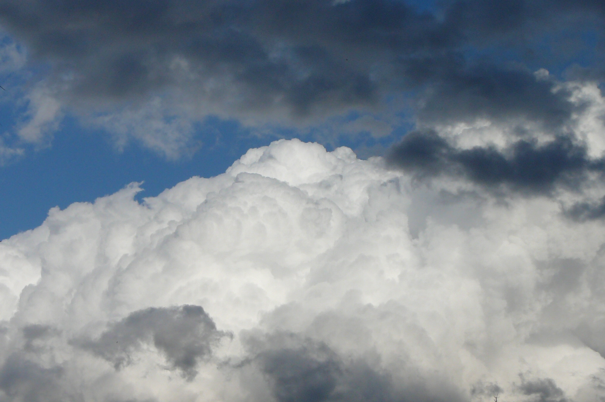 P1000577.JPG