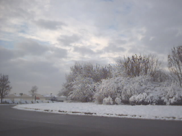 Image 24.jpg