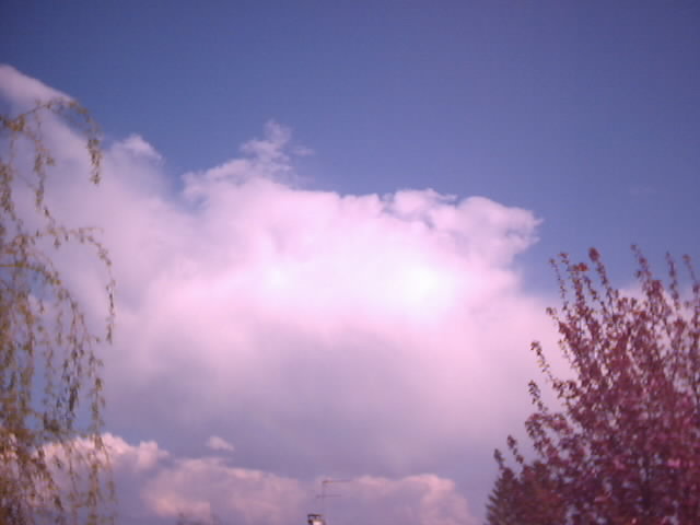 Image 14.jpg