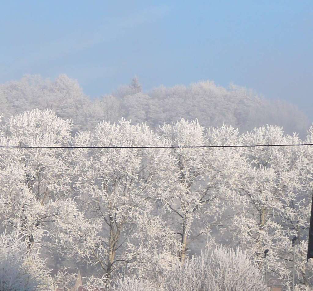 givre4.jpg