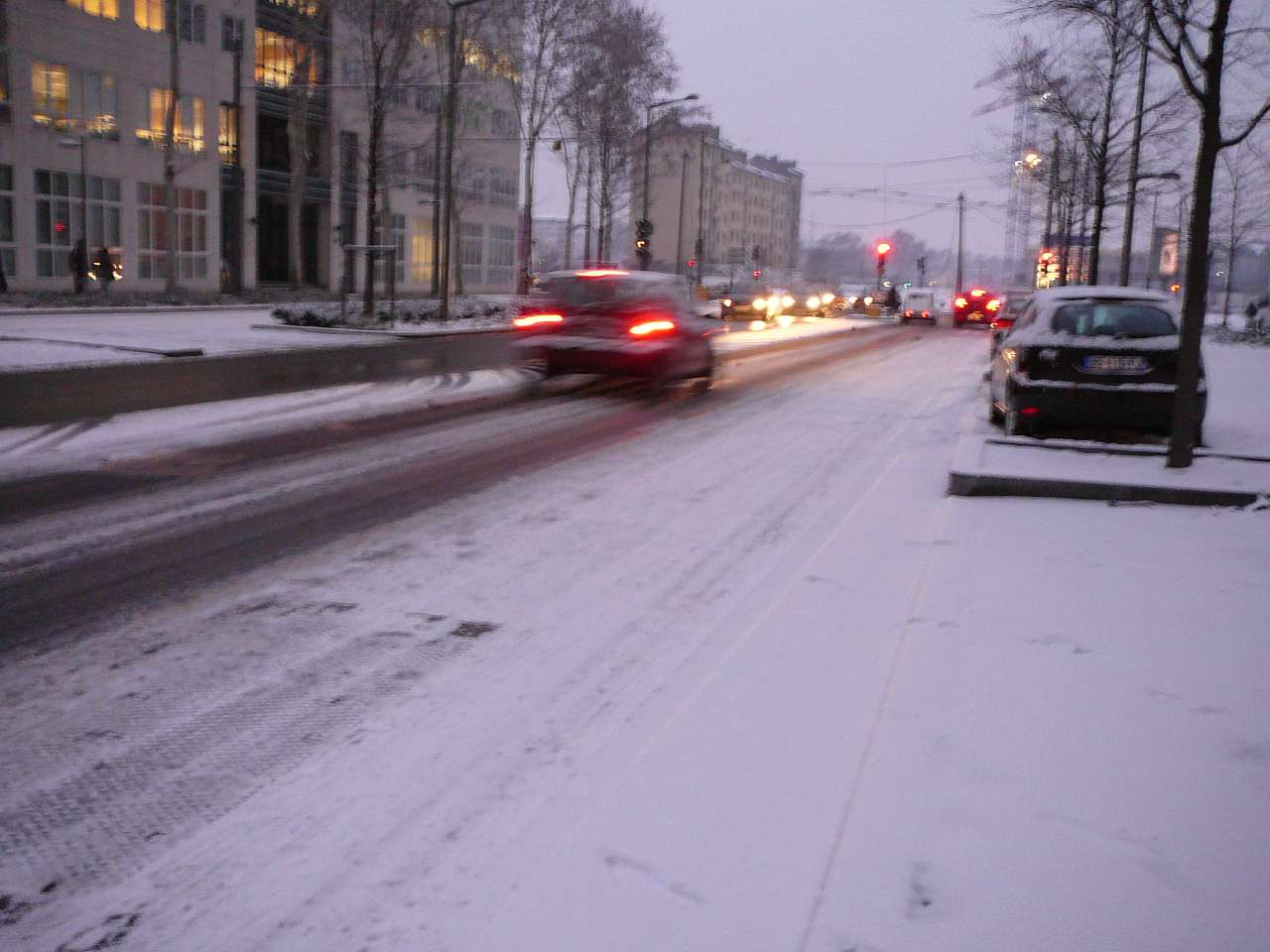 lyon11.jpg
